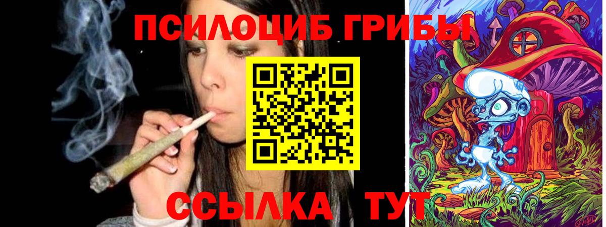 Псилоцибиновые грибы Psilocybine cubensis Ахтубинск