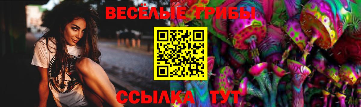 Ахтубинск  Псилоцибиновые грибы Psilocybe  Вход с VPN  Галлюциногенные грибы прущие грибы 